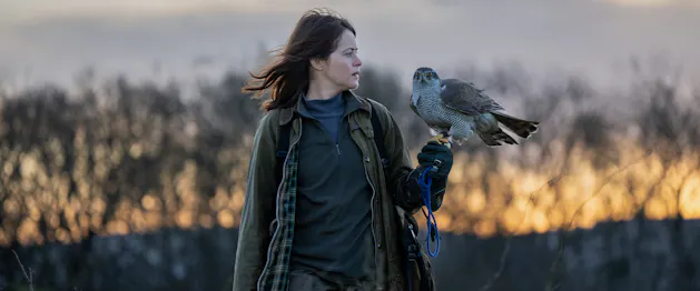 H is for Hawk – Virtual Q&A with author Helen Macdonald