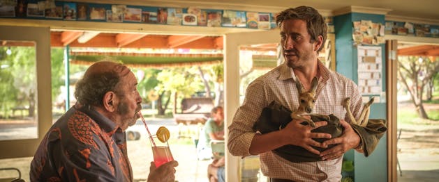 Kangaroo – World Kangaroo Day Screening