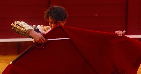 Afternoons of Solitude – Special Screening presented by Plainwater Films and Static Vision