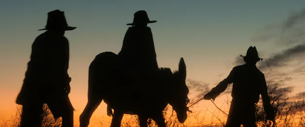 Wolfram – Q&A Screening