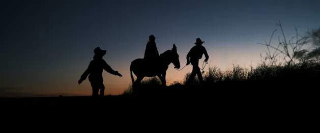 Wolfram – Q&A Screening