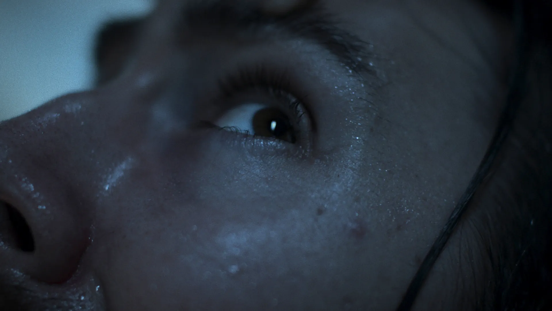 Melbourne Shorts 2026 - Shorts Screening