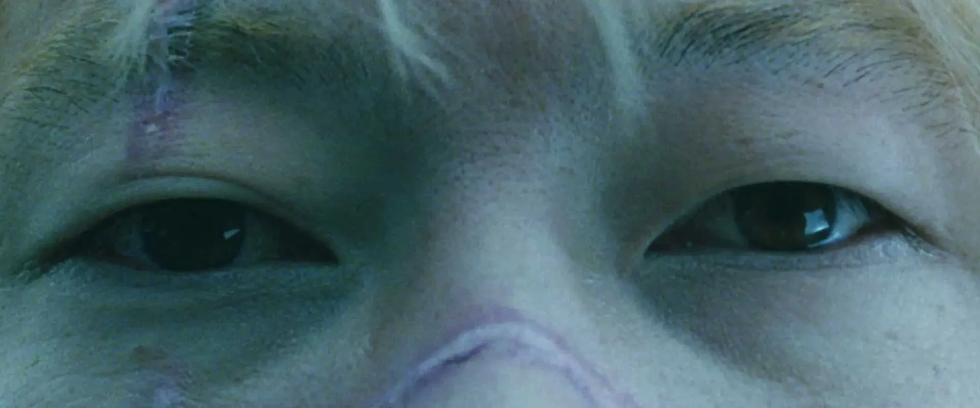 FLESH//GHOST//MACHINE: Japanese Nightmares