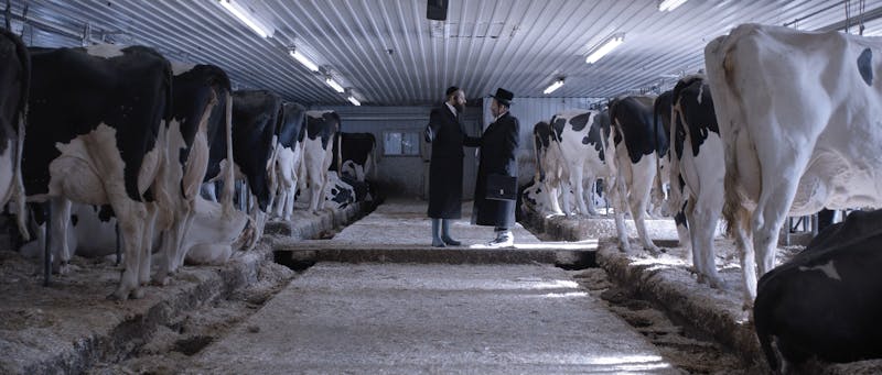 Yiddish Horror Shorts - Short Film Screening