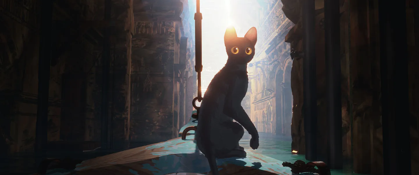 Flow - Cameo Cinemas