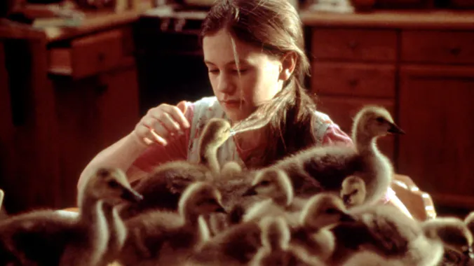 CHIFF: Fly Away Home (1996)