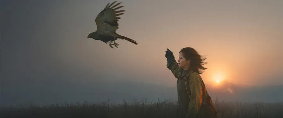 H is for Hawk