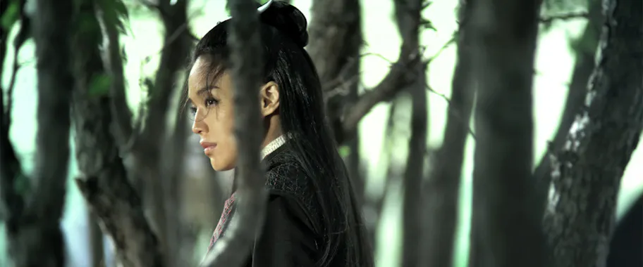 The Assassin (2015)