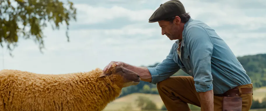 The Sheep Detectives