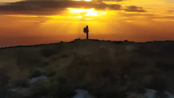 500 Days in the Wild