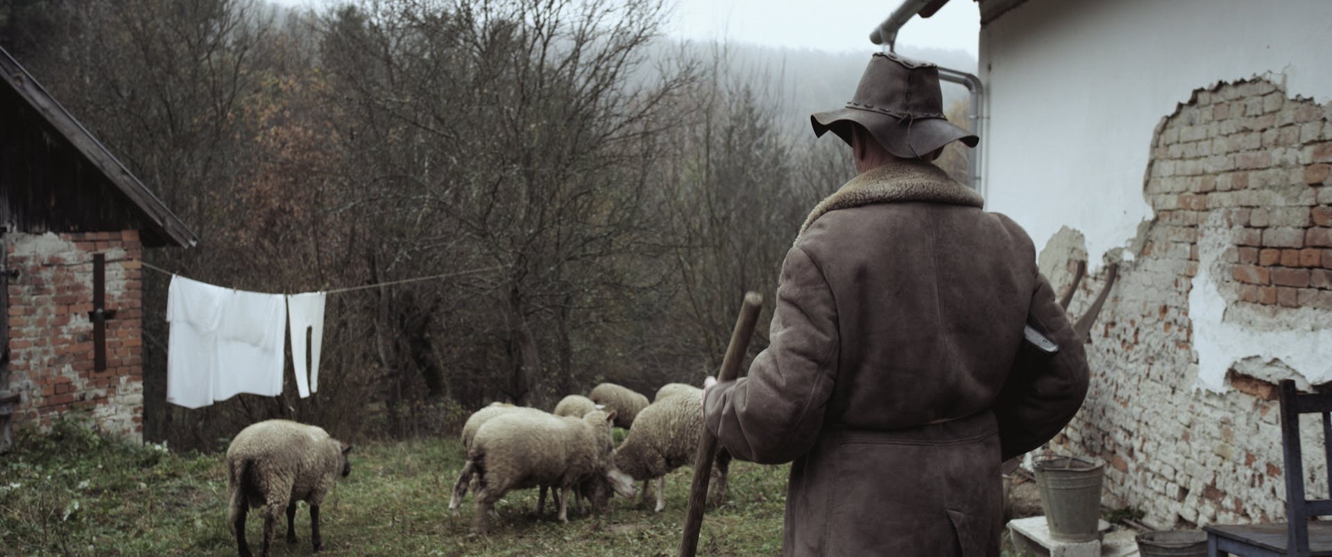 The Shepherd