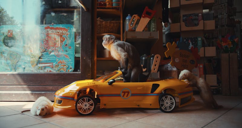 Akiko, the Flying Monkey