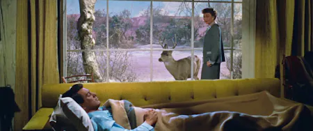 All That Heaven Allows (1955)