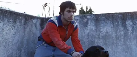 Amores Perros (2000)