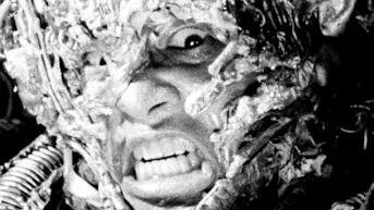 FFFA: Tetsuo: The Iron Man