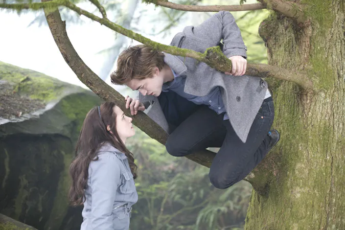 Twilight (2008)