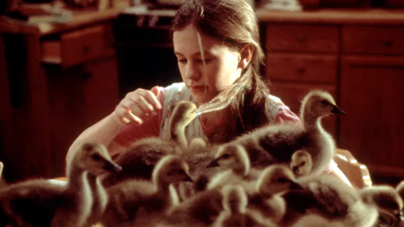Fly Away Home (1996)