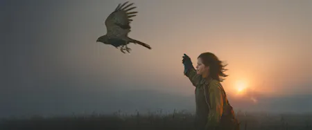 H is for Hawk