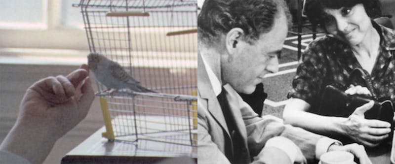 The Cafeteria (1984) & Isaac Singer’s Nightmare and Mrs Pupko’s Beard (1973)