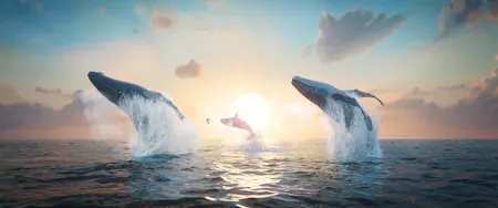 CHIFF: The Last Whale Singer