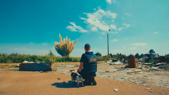 Us, Our Pets and the War