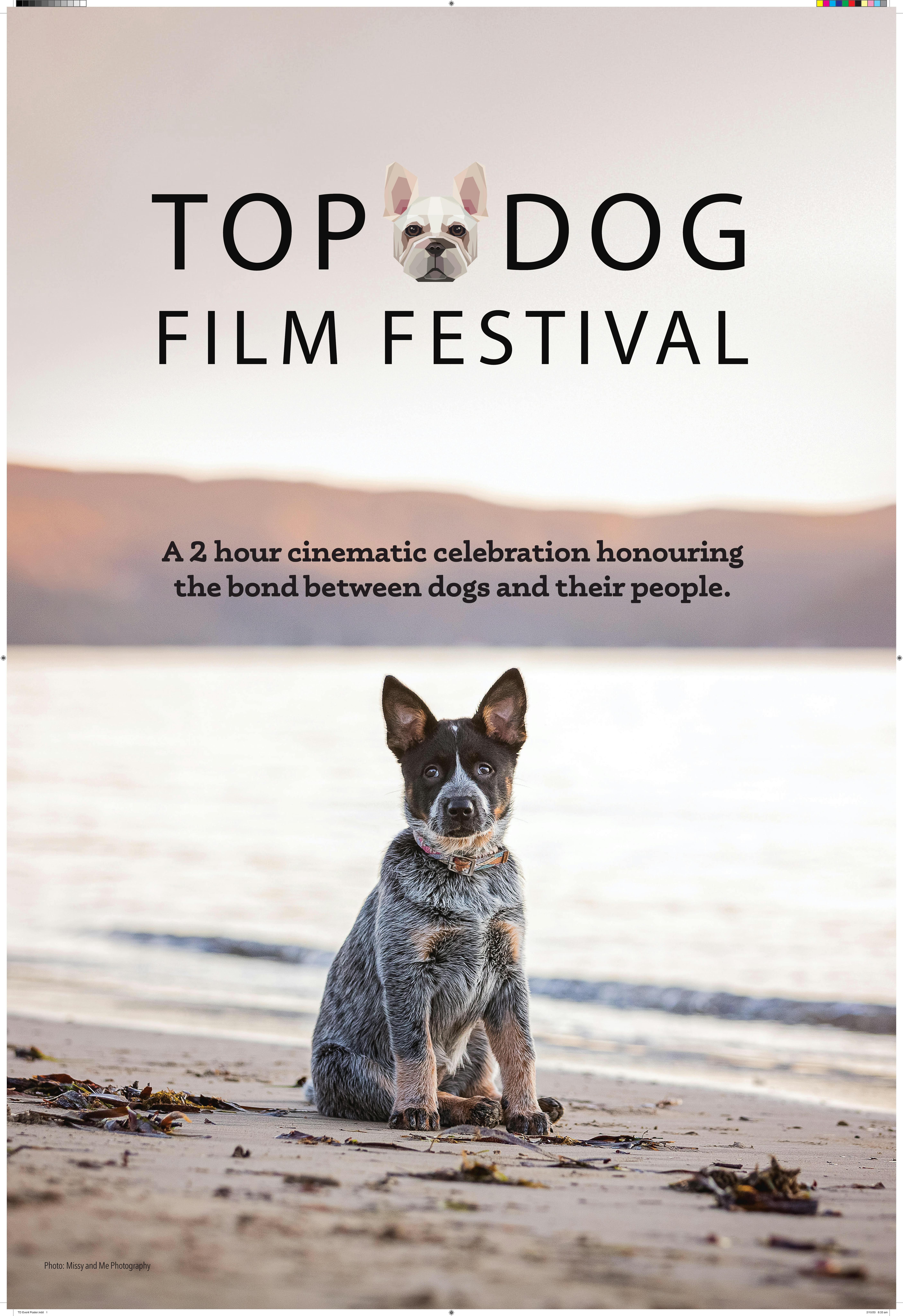 Top Dog Film Festival 2020 Cameo Cinemas