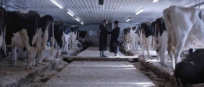 Yiddish Horror Shorts - Short Film Screening