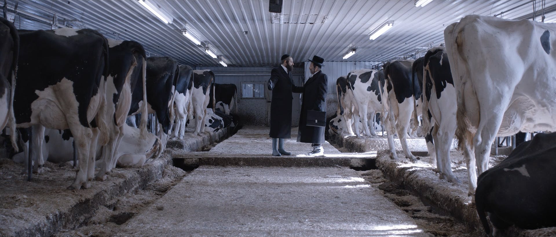 Yiddish Horror Shorts - Short Film Screening