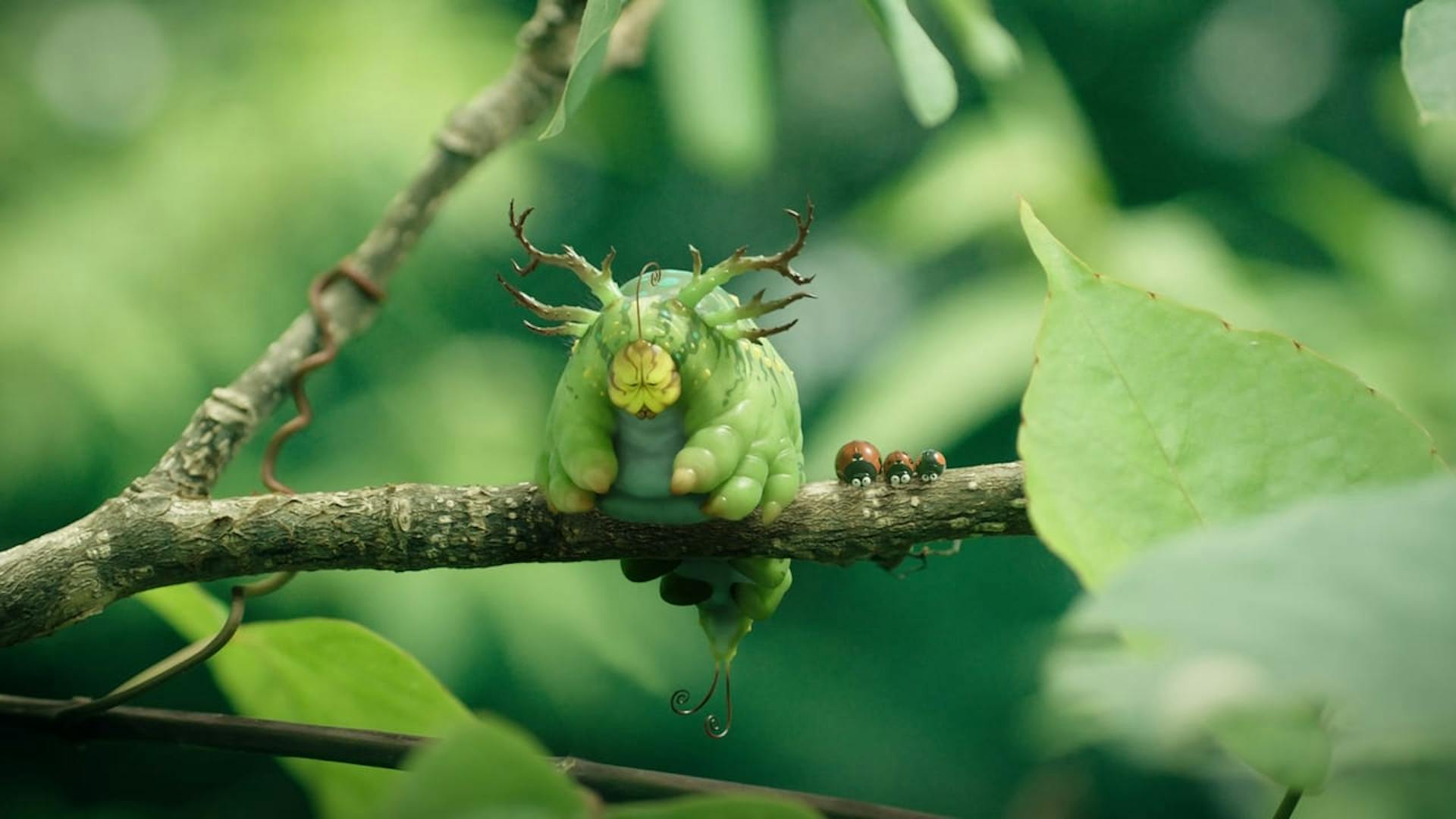 Minuscule: Mandibles from Far Away